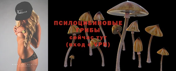 мяу мяу мука Бронницы